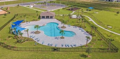 Cypress Pool Amenity. Haines City, FL New Homes