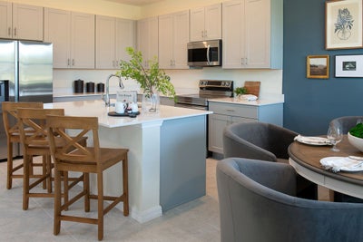 Imagine Kitchen. Mirror Lake Village New Homes in Fruitland Park, FL