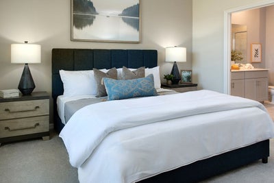 Evolve Primary Bedroom. Fruitland Park, FL New Homes