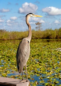 Tampa, FL New Homes for Sale