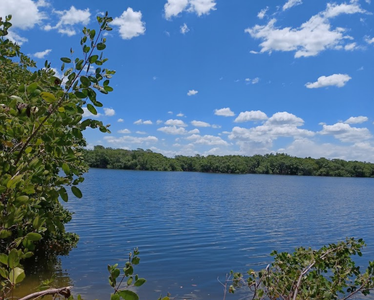 Apollo Beach, FL New Homes